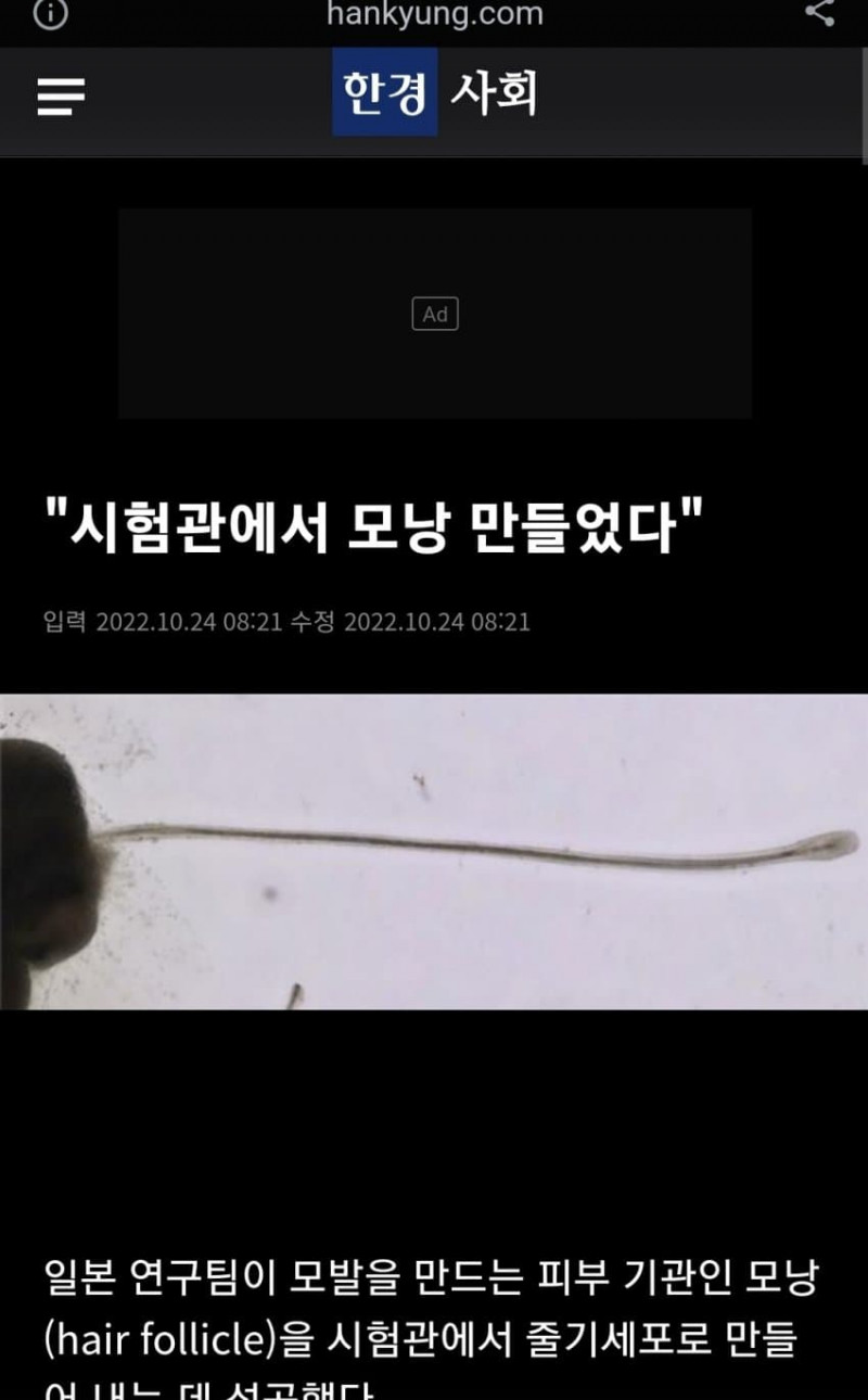 다들 일본을 찬양해라!!!_1.jpg