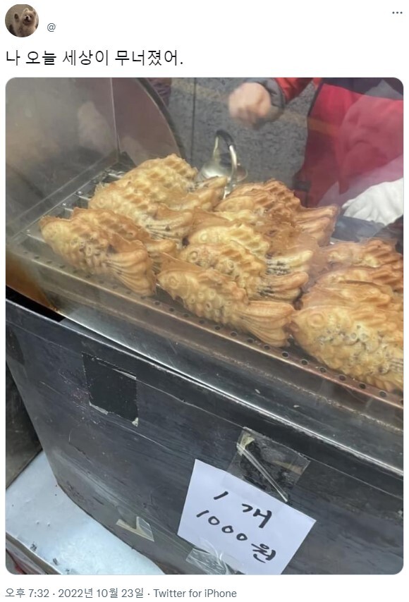 붕어빵 근황.jpg | 유머 게시판 붕어빵 근황.jpg | 유머 게시판 | 루리웹