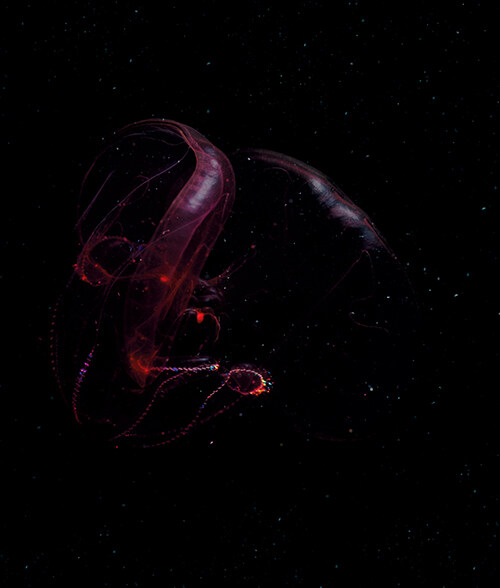 [심해] 개정판 (추가)_3.jpg