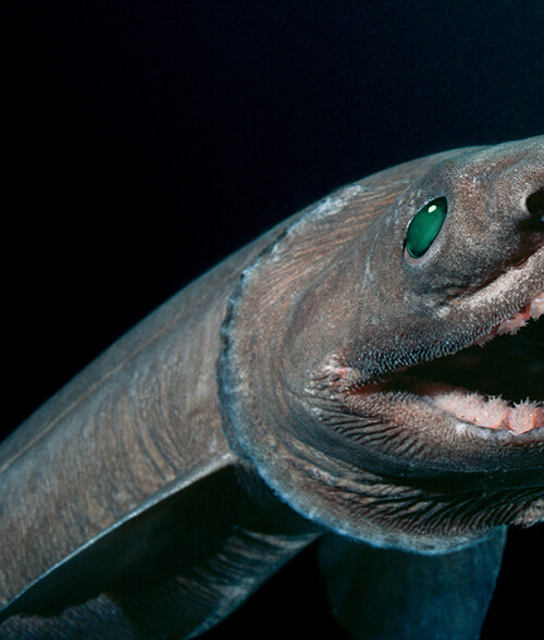 [심해] 개정판 (추가)_5.jpg