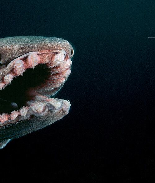 [심해] 개정판 (추가)_6.jpg