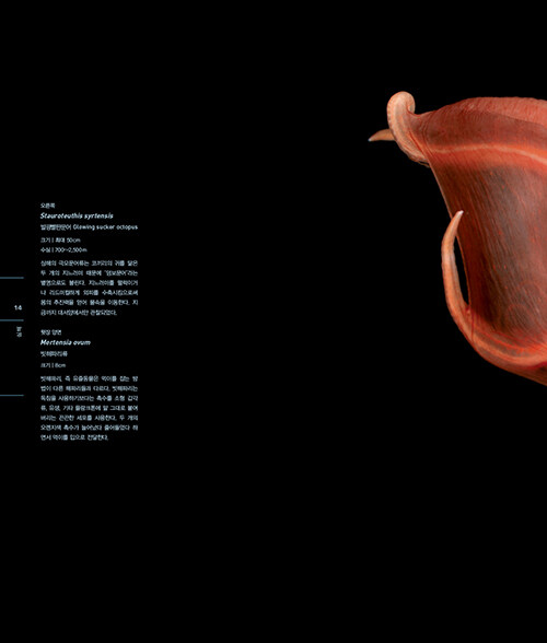 [심해] 개정판 (추가)_9.jpg