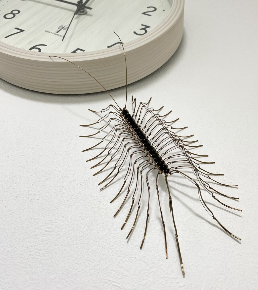 혐오)한밤중 지옥을 겪은 일본인_2.jpg