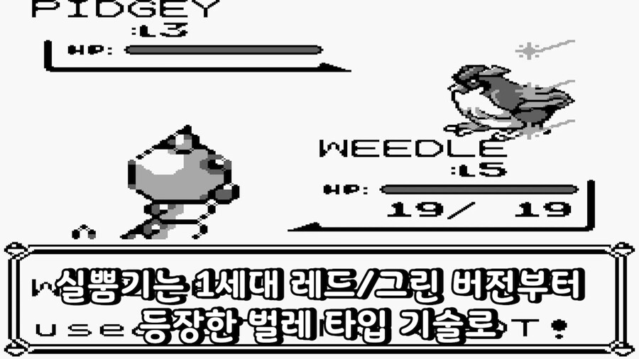 포켓몬)어이없는 이유로 대회에서 금지된 포켓몬_3.png