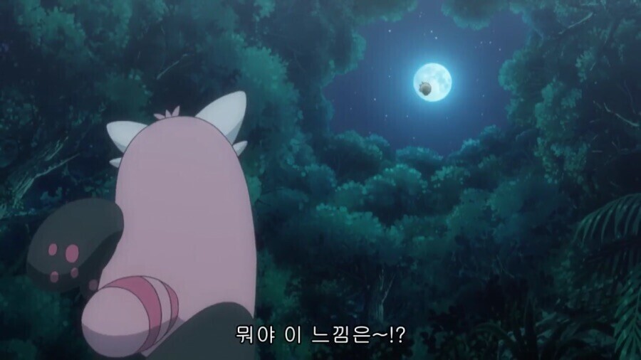 포켓몬)썬문애니 평가가 좋은 이유_20.jpeg
