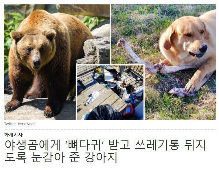 뇌물을 받고 집안 뒤지는걸 허락해준 개같은 경비.JPG_1.jpg