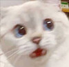 만원짜리 지폐에 세종대왕이 들어가게 된 배경.jpg_4.jpg