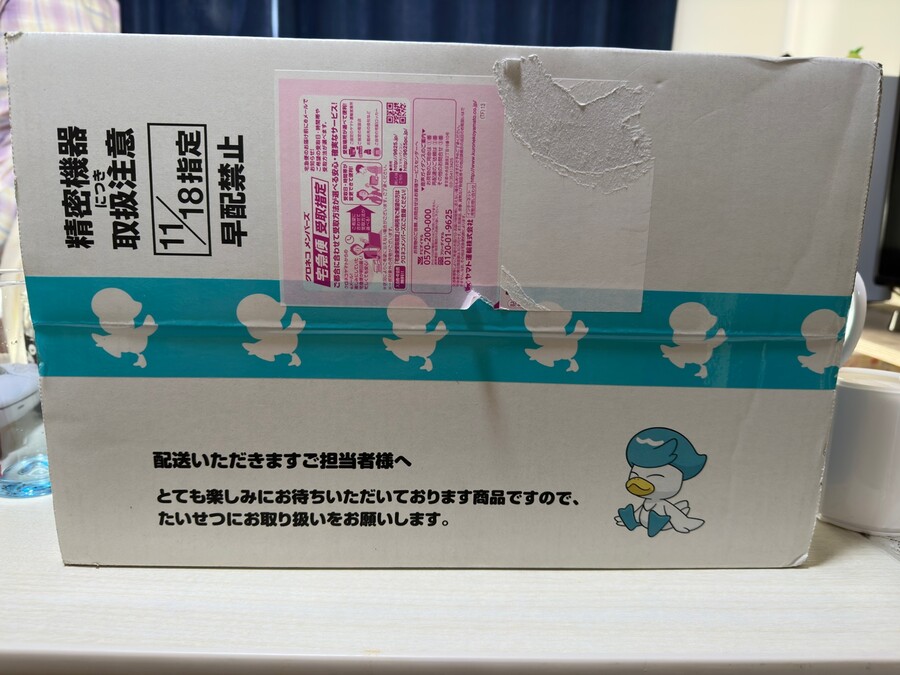 포켓몬스터 스칼렛(feat.포켓몬센터 온라인 특전)_1.jpg