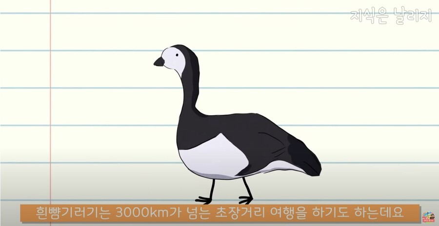 동물과 인간의 근육 차이점.JPG_1.jpg