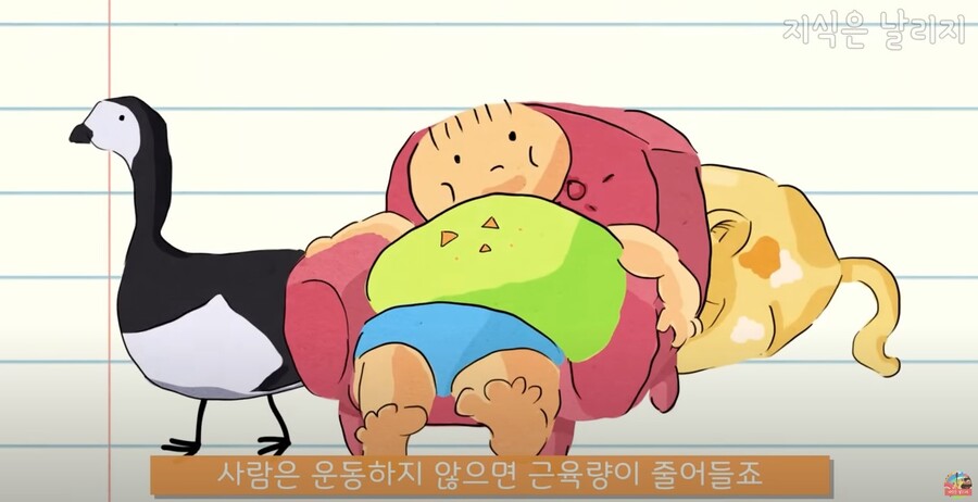 동물과 인간의 근육 차이점.JPG_4.jpg