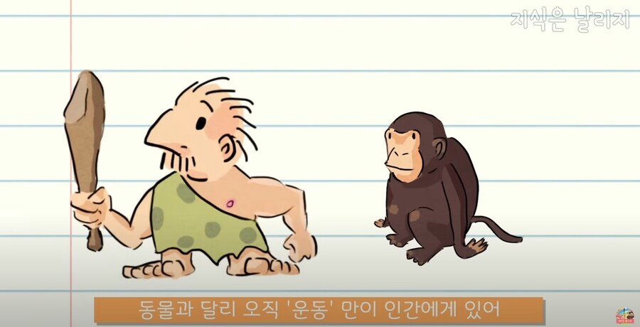 동물과 인간의 근육 차이점.JPG_15.jpg