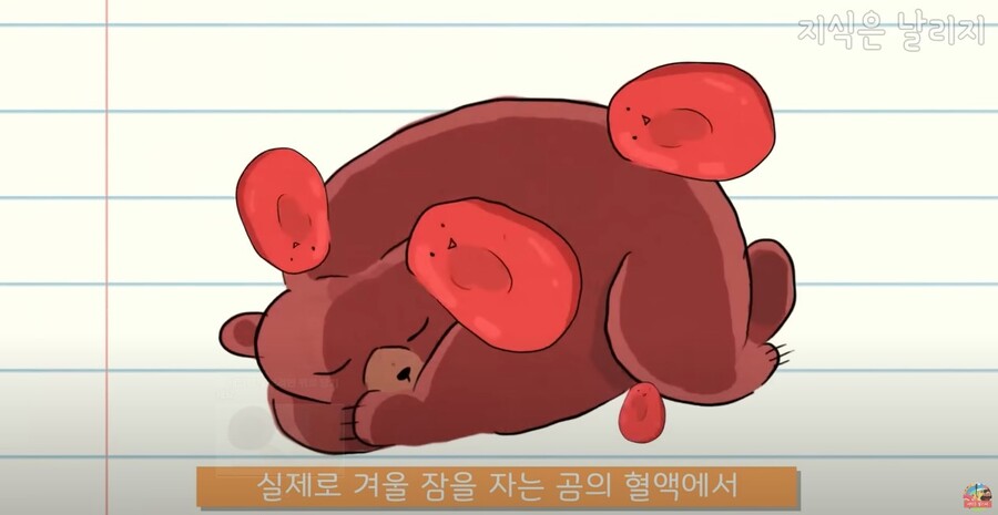 동물과 인간의 근육 차이점.JPG_29.jpg