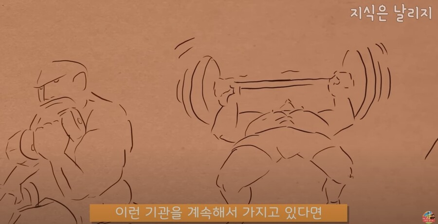 동물과 인간의 근육 차이점.JPG_70.jpg