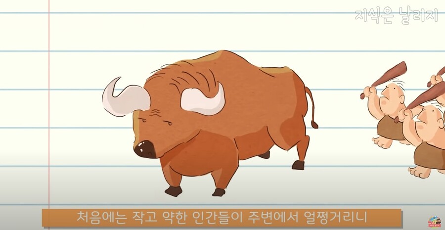 동물과 인간의 근육 차이점.JPG_78.jpg
