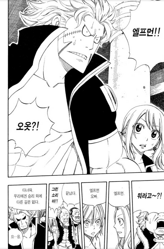 페어리테일)쓸떼없이 최선을 다한 놈_1.jpeg