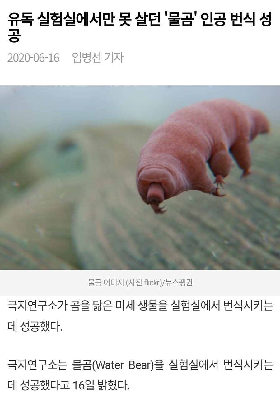 지구 최강의 생명체 물곰 특