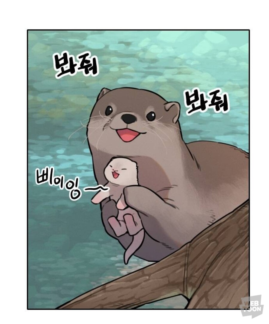 호랑이 들어와요) 야생의 수달이 나타났다!_10.jpg