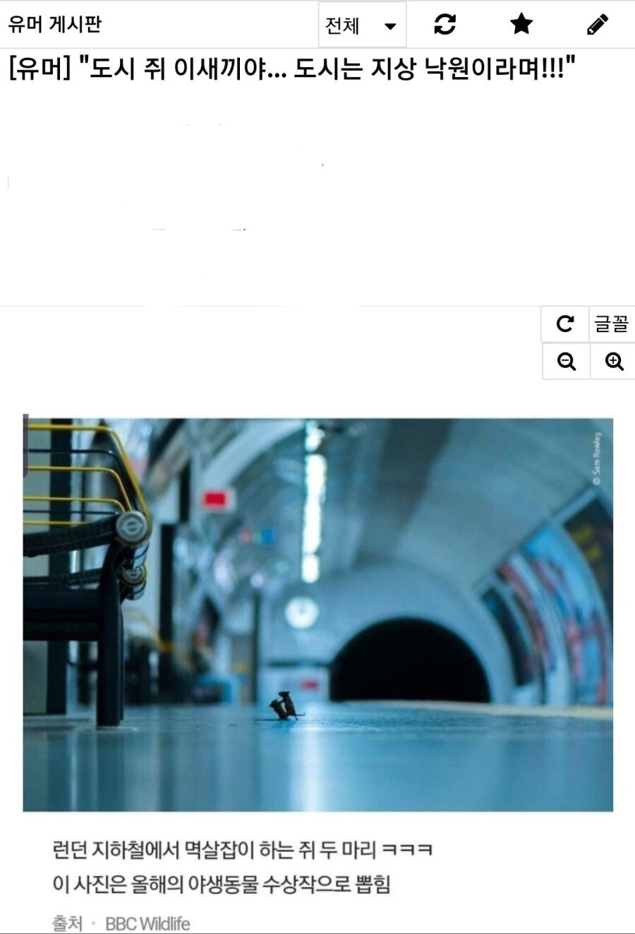 시골쥐와 도시쥐(러시아 스타일)_1.jpg