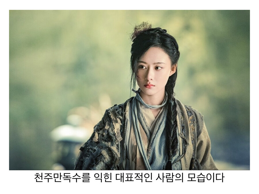 체내에 쌓인 독이 얼굴을 망가트리는 무공 천주만독수