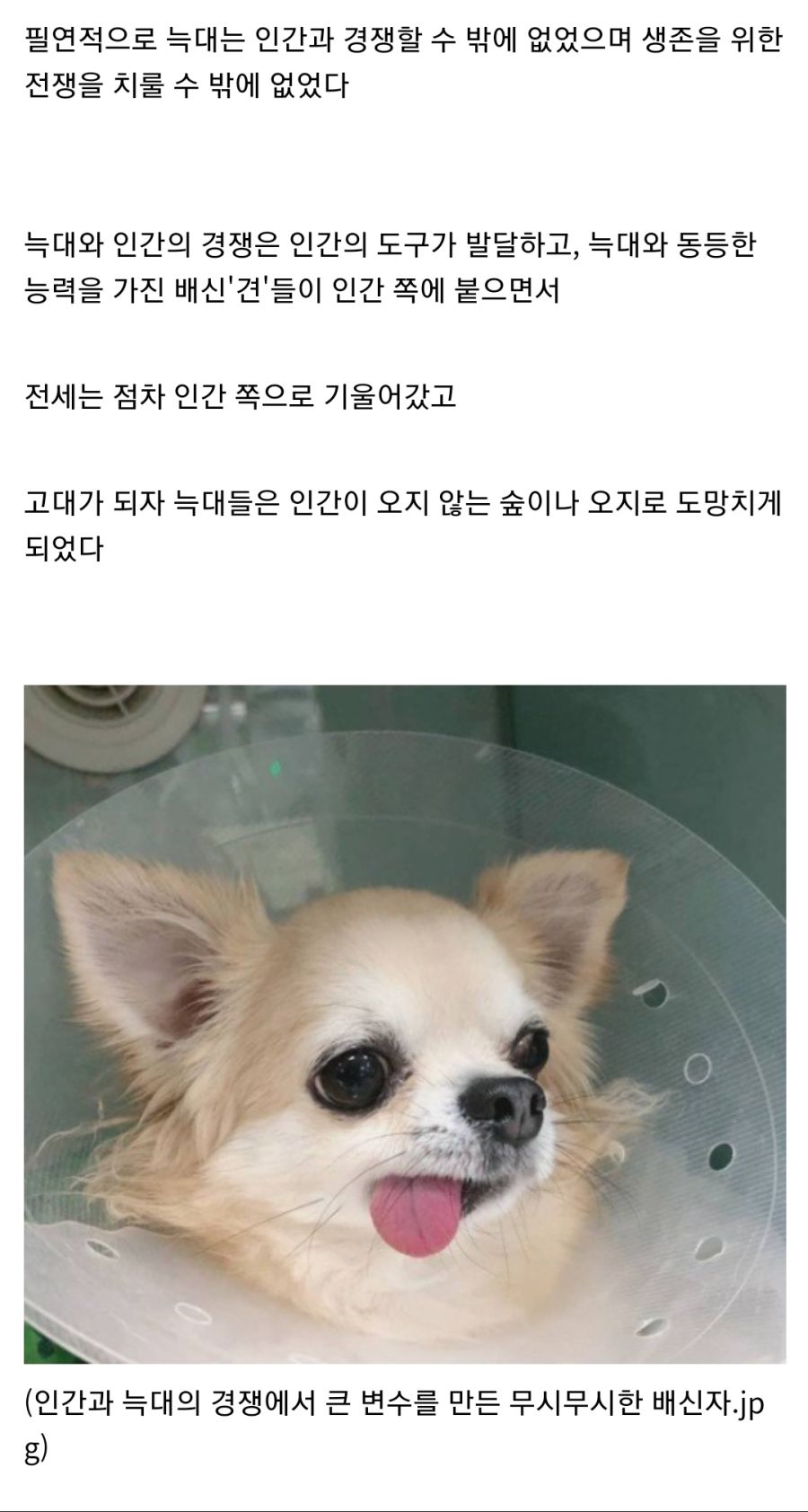 중세 유럽을 공포에 빠트린 인류의 적 "늑대"_2.jpg