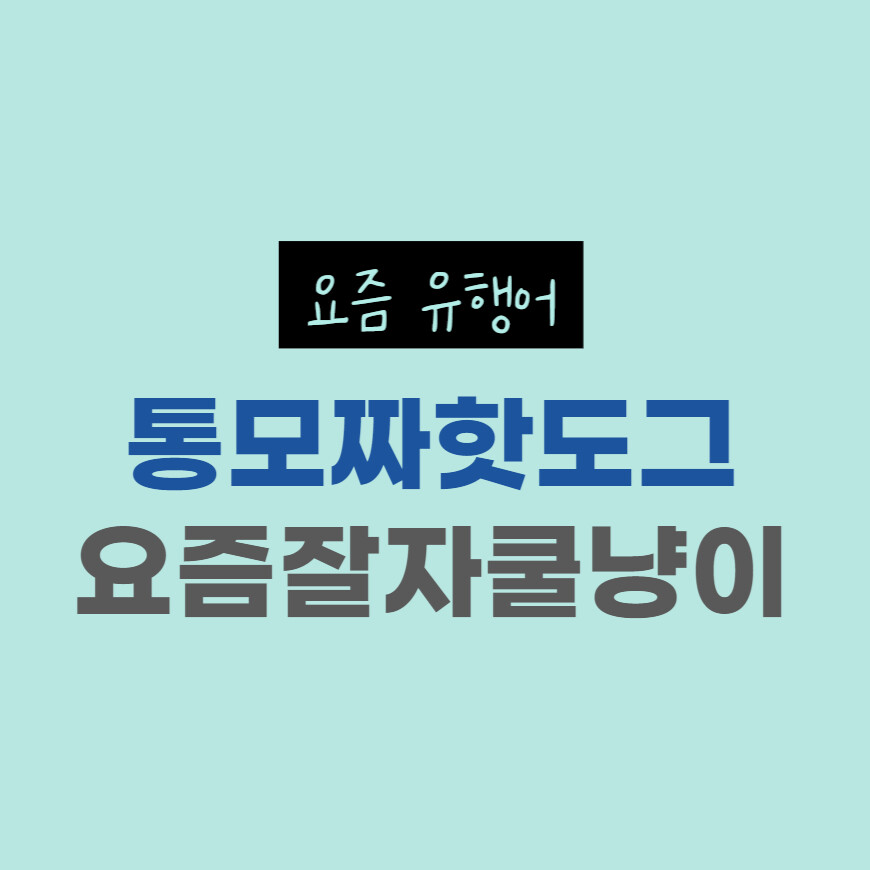 따끈따끈 요즘신조어 사전 (통모짜핫도그, 요즘잘자쿨냥이)_1.png