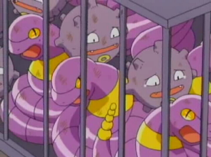 로켓단이 야생 또가스 아보크는 왜 구해줬음?_5.png