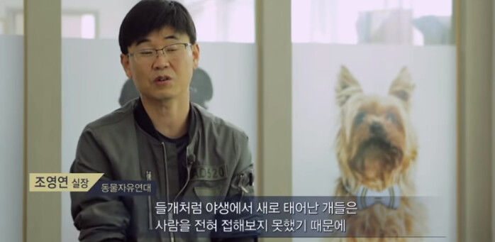 (빡침주의) 북한산 인근에 들개들이 불어났던 이유_4.png