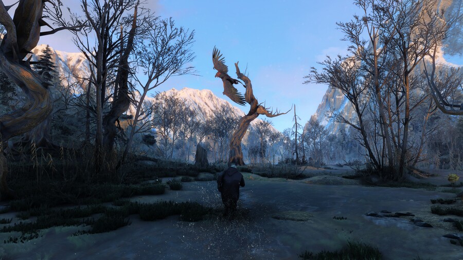 포토 모드 위쳐 스샷 #4 (삭풍과 눈의 나라, 스켈리게)_11.jpg