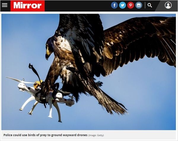 드론) 그냥 독수리를 출동시켜라_2.jpg