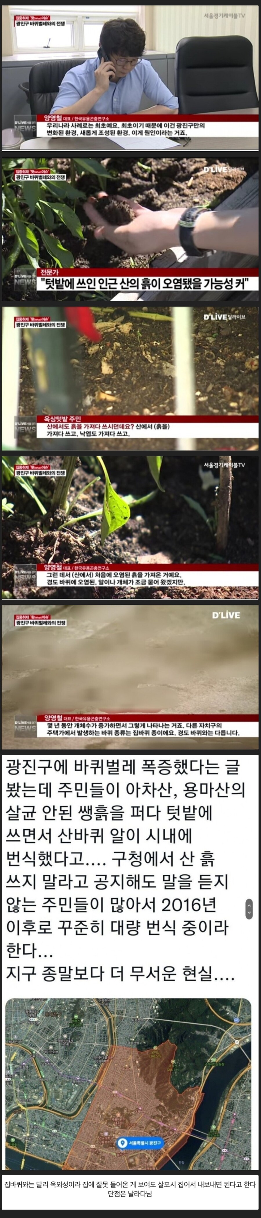광진구 바퀴벌래 사태.JPG_1.jpg