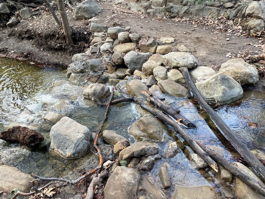 집에서 해묵는 조개살 파스타;ㅎ_2.jpg