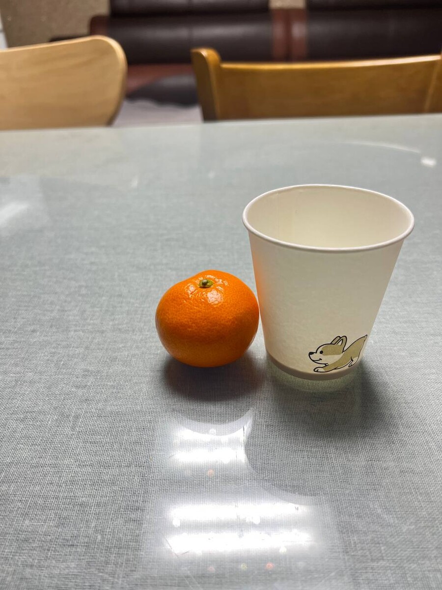 [네이버] 달달하고 맛있는 감귤, 타이벡감귤 5kg 23,500 (무료배송)_5.jpg