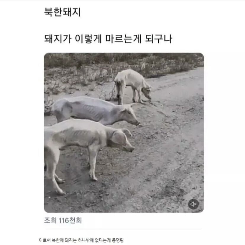 북유게 루리웹 회원들 특징 | 유머 게시판 | RULIWEB 북유게 루리웹 회원들 특징 | 유머 게시판 | Ruliweb