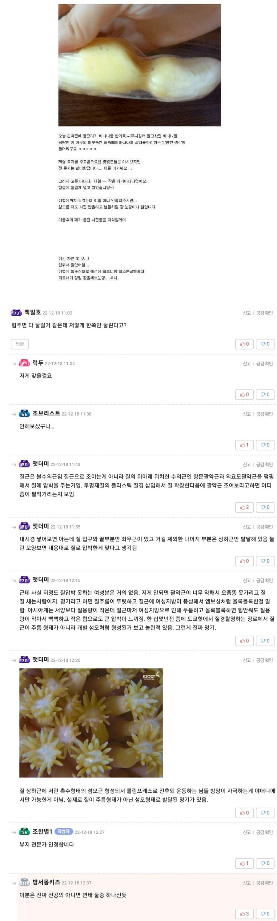 여성 질환 전문 의사 혹은 변태_1.jpg