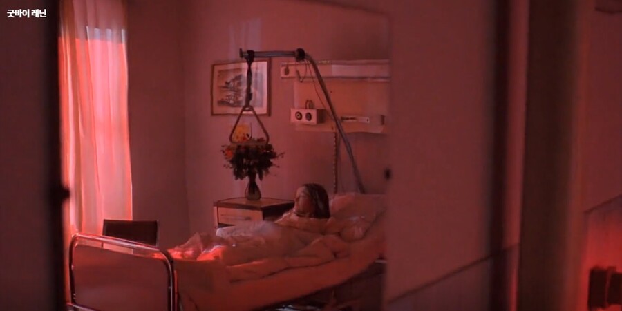 헬무트 제모가 엄마한테 구라까는데 박평식 8점인 영화_27.jpg