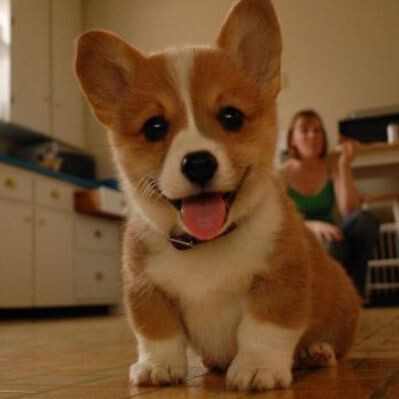 [극혐] 타가메 겐고로 스타일로 그린 동탁 미시룩.jpg_13.jpg