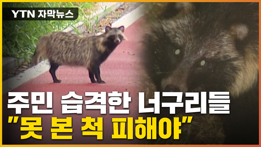 건담/수성) 12화 이후로 동인팬덤이 너무 극단적임_1.jpg