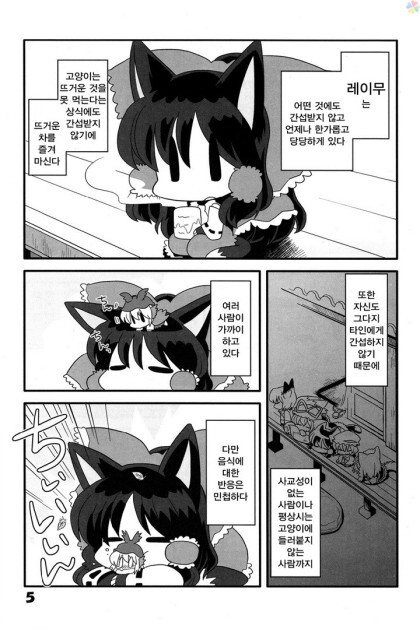 동방) 고양이 놀이_4.jpeg