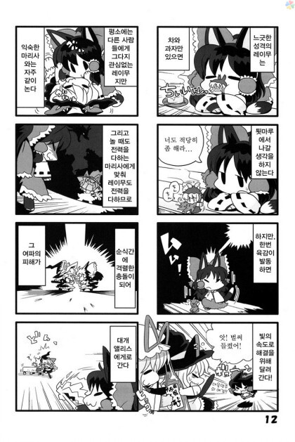 동방) 고양이 놀이_11.jpeg