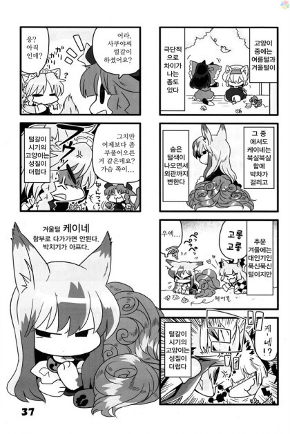 동방) 고양이 놀이_36.jpeg