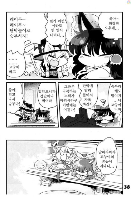 동방) 고양이 놀이_37.jpeg