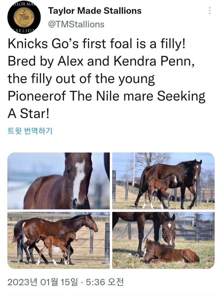 말)K-nicks 프로잭트 근황_1.jpg