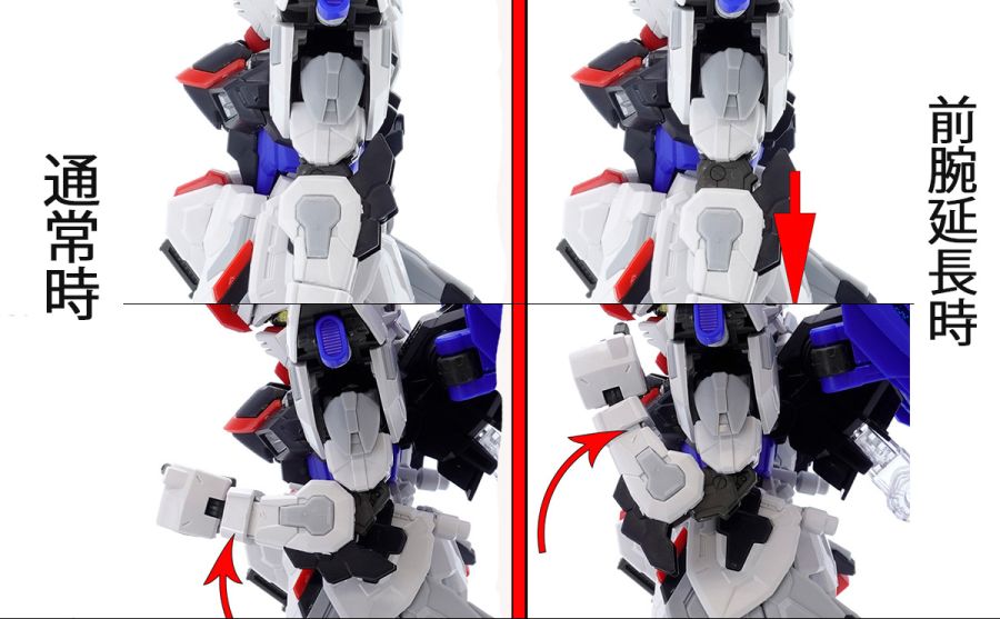 MGSD 프리덤 건담 샘플 소개_17.jpg