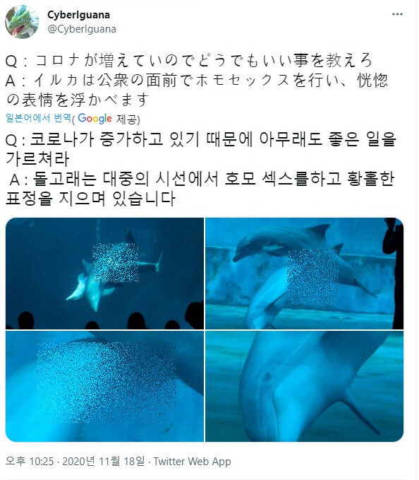 호모) 돌고래 | 유머 게시판 | RULIWEB 호모) 돌고래 | 유머 게시판 | Ruliweb