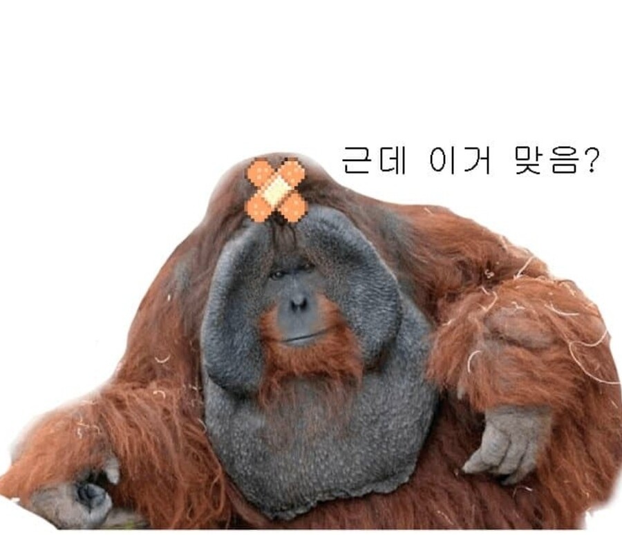 법) 이거 위장전입 아님?_1.jpg