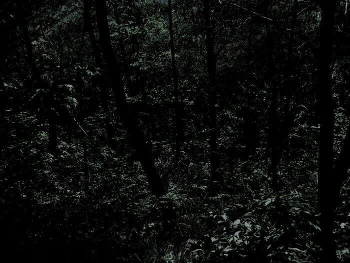 SCP)내가 걸리면 ㅈ같은 SCP_1.jpg