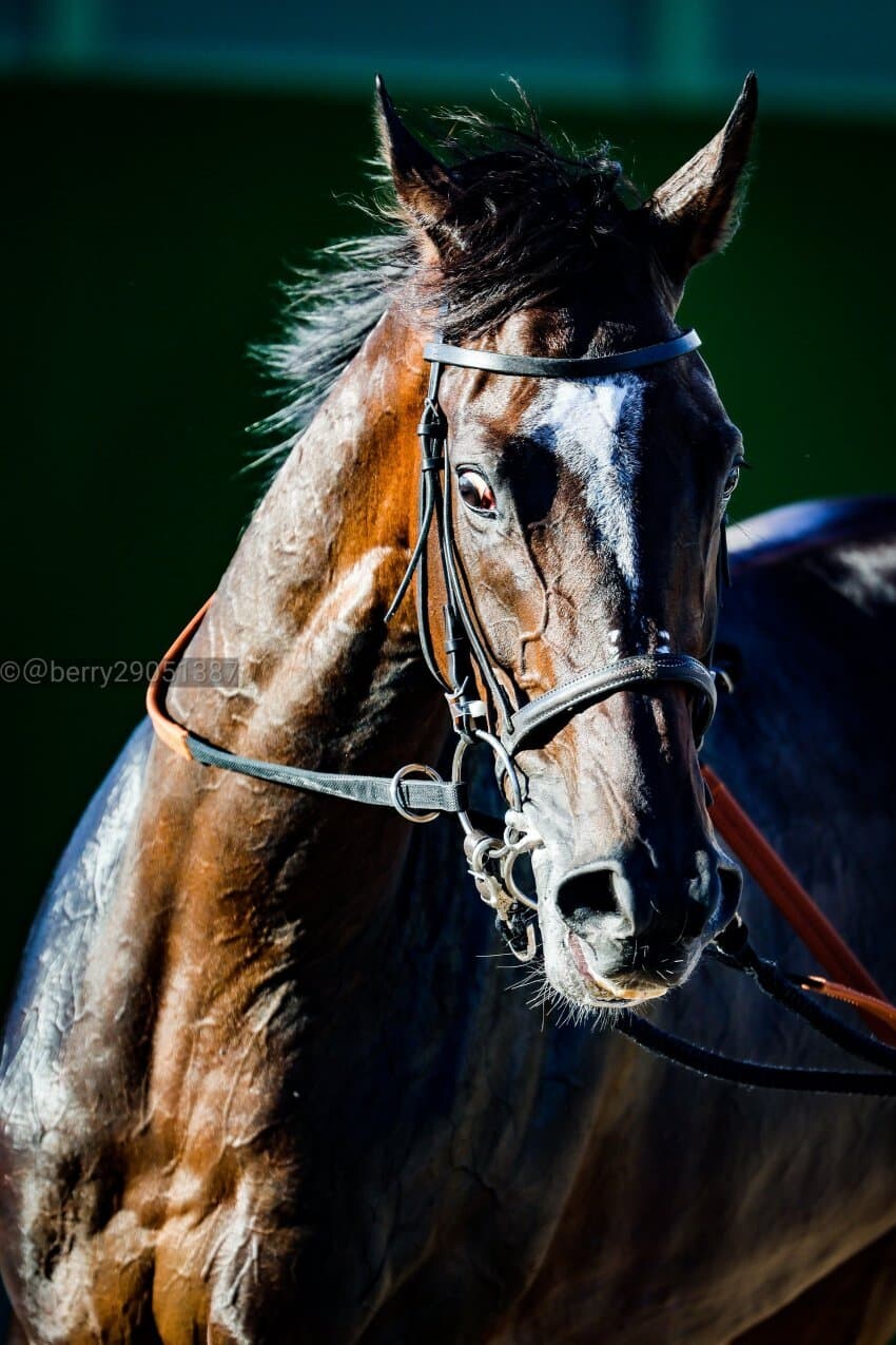 말딸) 샤다이로 불타오르는 이유.jpg_8.jpeg