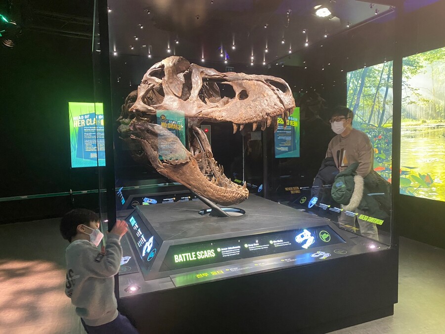 유게이 오늘 공룡뼈 보고 옴 (사진많음)_3.jpg