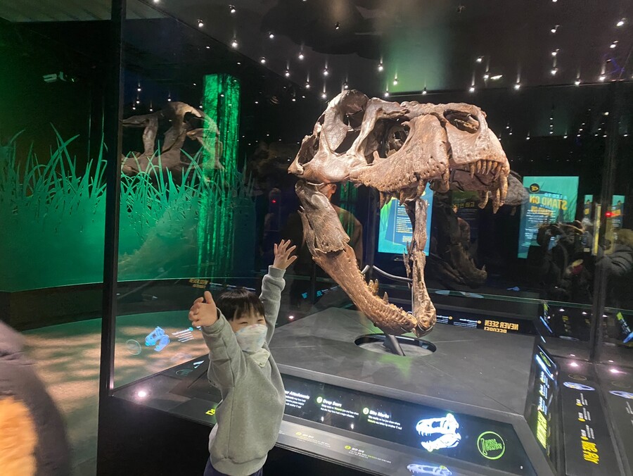 유게이 오늘 공룡뼈 보고 옴 (사진많음)_4.jpg