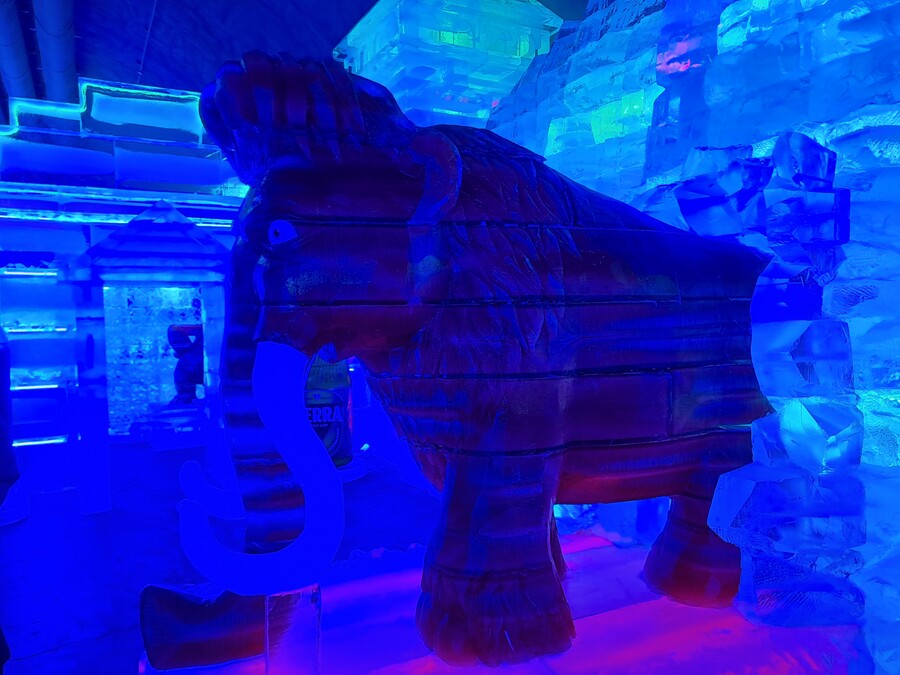 스압주의)국내 최대 얼음조각 전시회.jpg_11.jpg